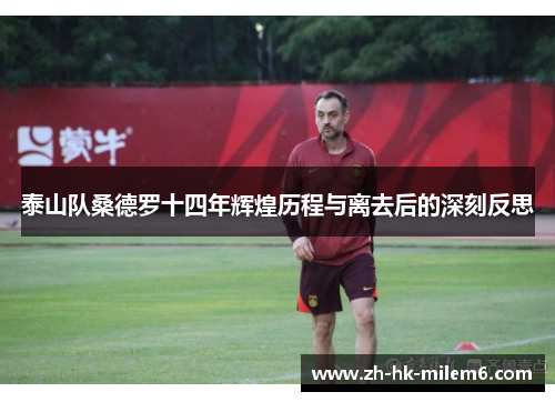 泰山队桑德罗十四年辉煌历程与离去后的深刻反思