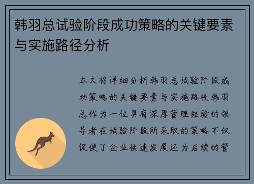 韩羽总试验阶段成功策略的关键要素与实施路径分析