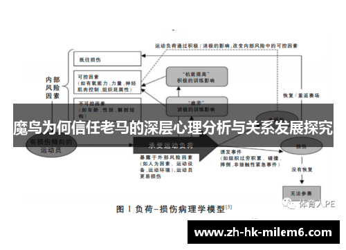 魔鸟为何信任老马的深层心理分析与关系发展探究