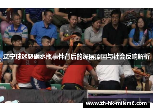 辽宁球迷怒砸水瓶事件背后的深层原因与社会反响解析 辽宁球迷怒砸水瓶事件背后的深层原因与社会反响解析