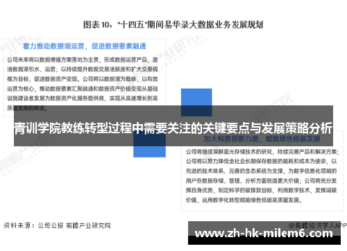 青训学院教练转型过程中需要关注的关键要点与发展策略分析