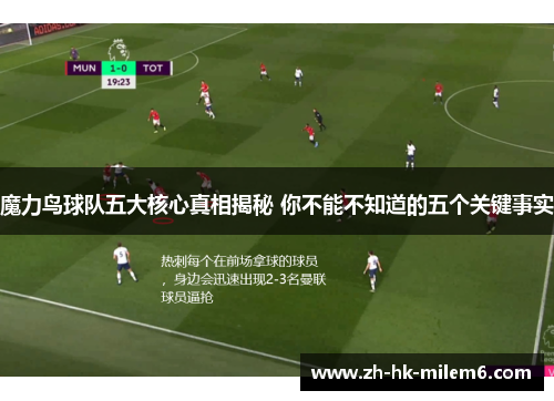 魔力鸟球队五大核心真相揭秘 你不能不知道的五个关键事实
