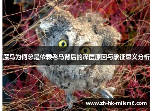 魔鸟为何总是依赖老马背后的深层原因与象征意义分析 魔鸟为何总是依赖老马背后的深层原因与象征意义分析