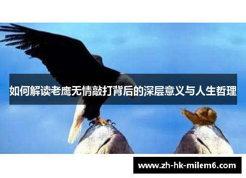 如何解读老鹰无情敲打背后的深层意义与人生哲理